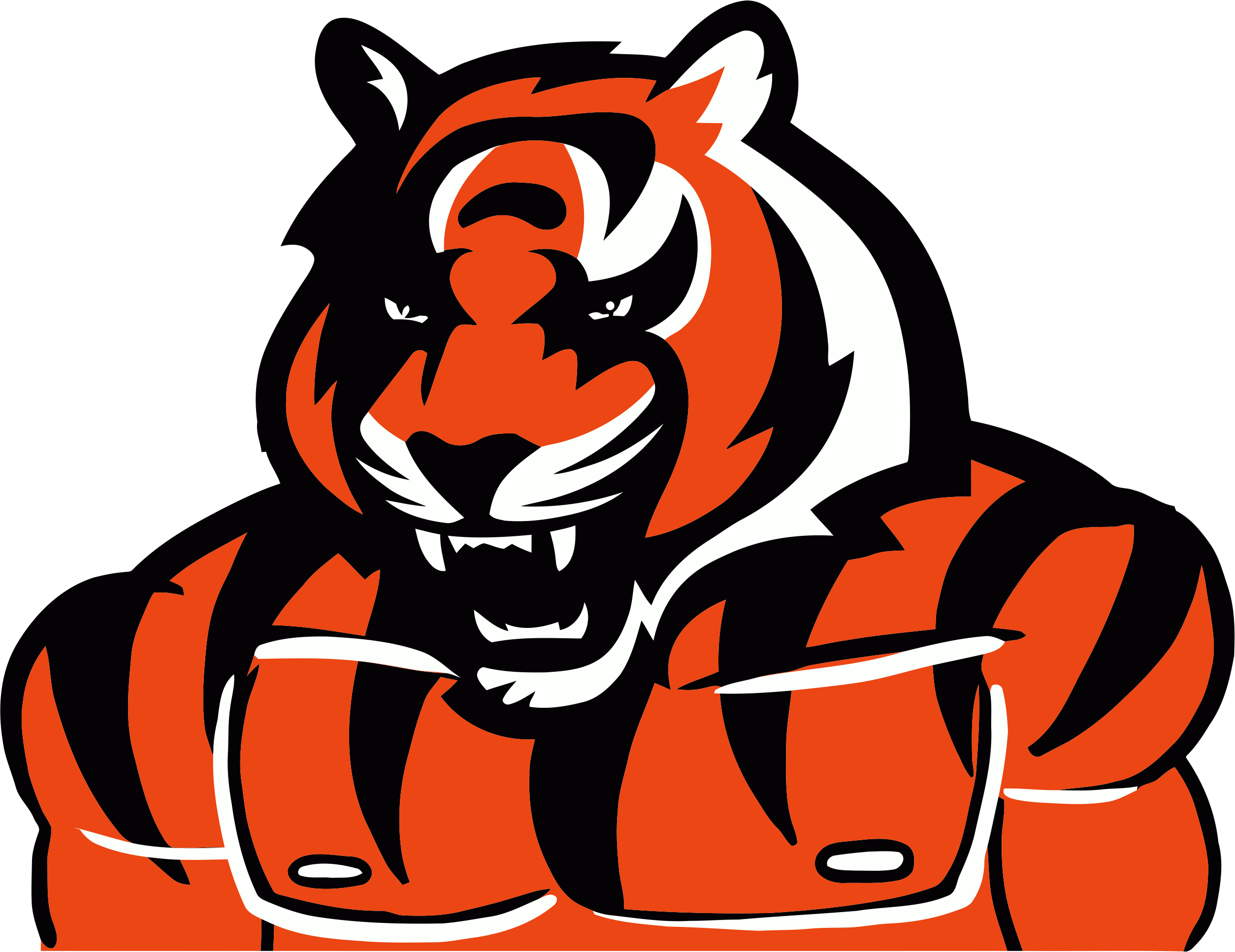 Cincinnati Bengals Steroids Logo iron on transfers